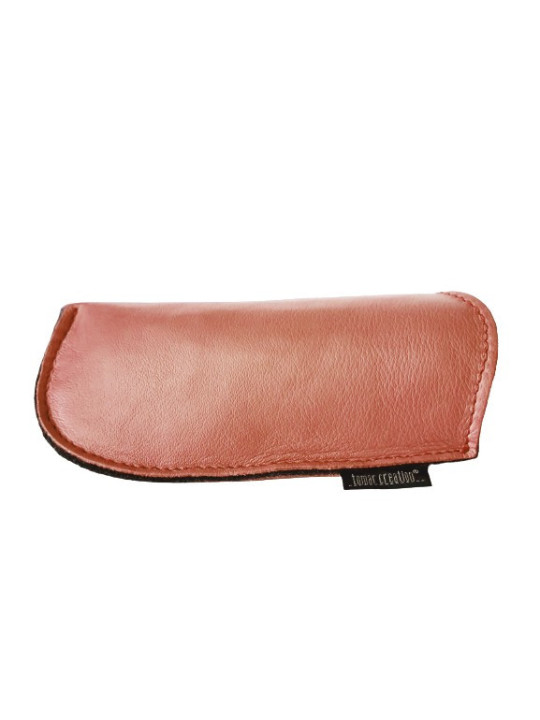 Glasses case