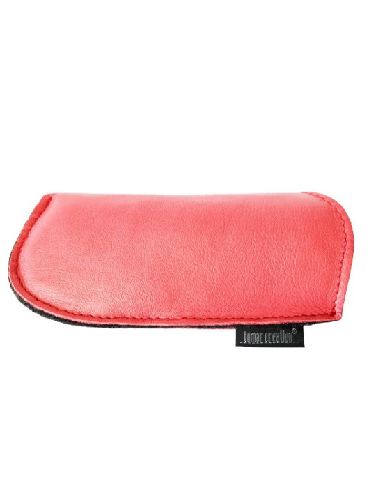 Glasses case