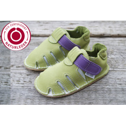 Zippy Organic two-tone green and purple