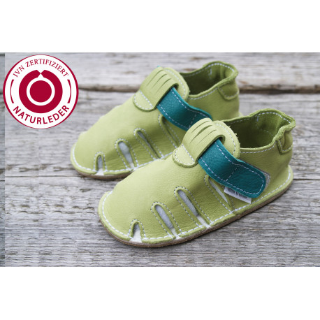 Zippy Organic two-tone green 