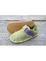 Zippy Bio bicolore vert et mauve