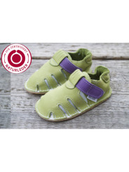 Zippy Organic two-tone green and purple