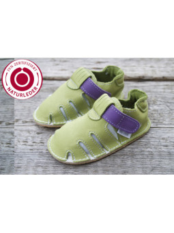 Zippy Organic two-tone green and purple