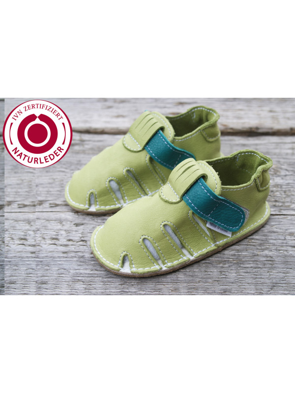 Zippy Bio bicolore vert 