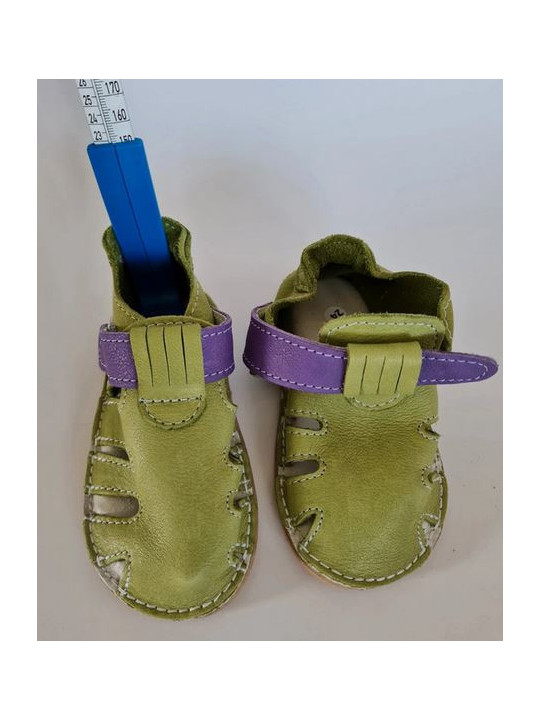 Zippy Bio bicolore vert et mauve