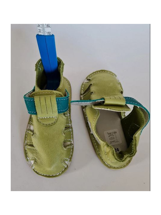 Zippy Bio bicolore vert 