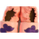 Papillons violet sur cuir rose chaussons souples