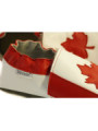 The Maple Leaf Flag 