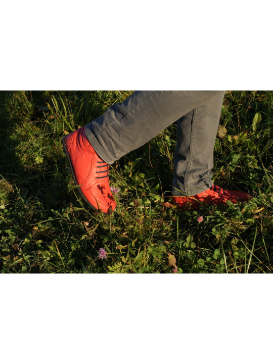 Winter - rosso fueco