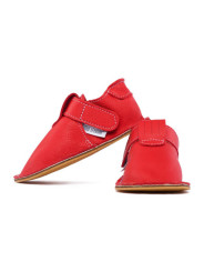 Zippy - uni santa